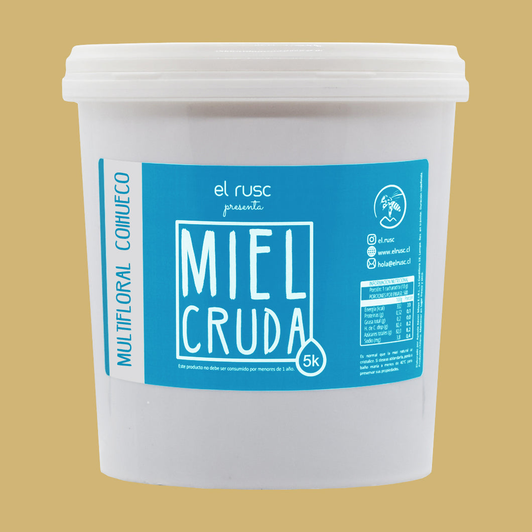 Miel multifloral 5 kilos - origen Coihueco